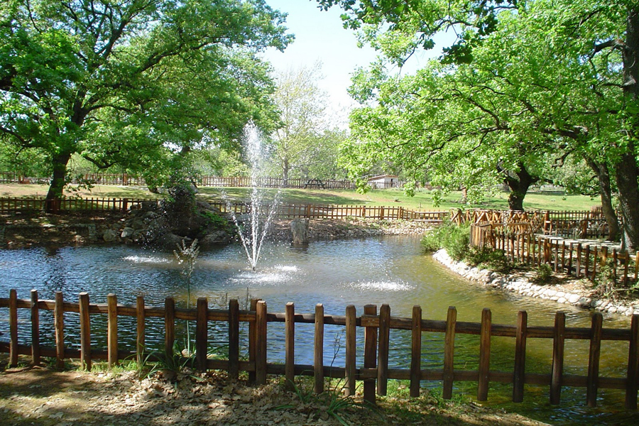 Kouri Forest – Almyros